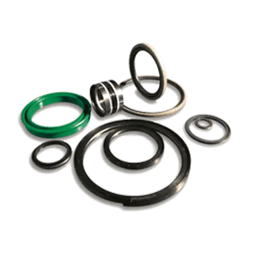 Chemical Injection Pump Seals