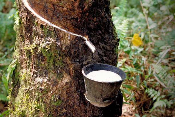 sri harini rubber products